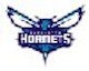 hornets