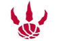 raps